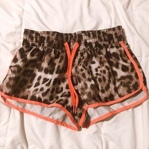 Cheetah shorts